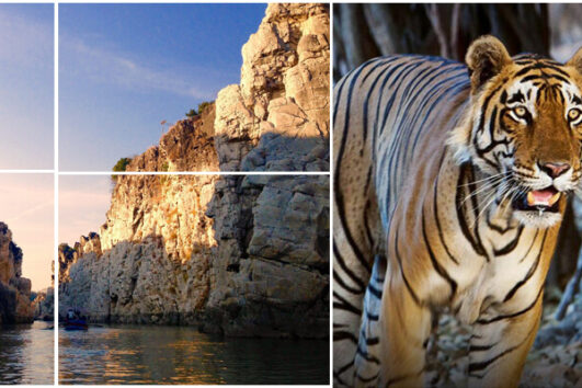 Khajuraho and Tiger Tour