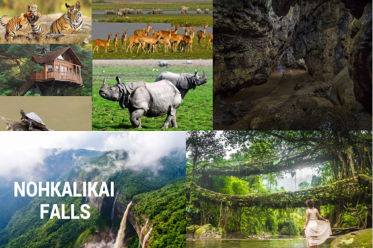 RHINOS & THE ABODE OF CLOUDS (KAZIRANGA WITH MEGHALAYA TOUR PACKAGE)