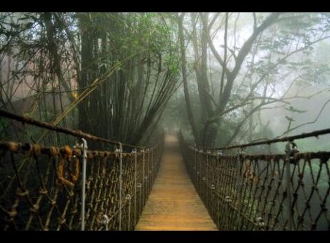 KERALA ABODE OF GOD TOUR PACKAGE(7 NIGHTS / 8 DAYS)