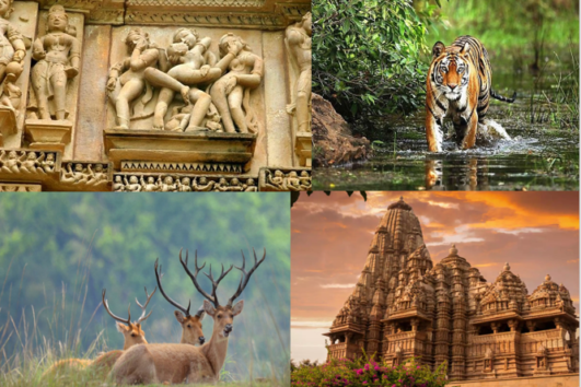 KAMASUTRA WITH TIGER TOUR ( 7 NIGHTS / 8 DAYS)