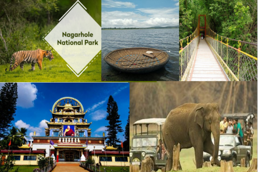 SOUTH INDIA WILDLIFE & CULTURAL TOUR.  (9 NIGHTS / 10 DAYS)