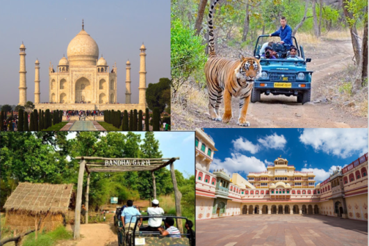 TIGER ROAR WITH GOLDEN TRIANGLE (13 Nights / 14 Days)